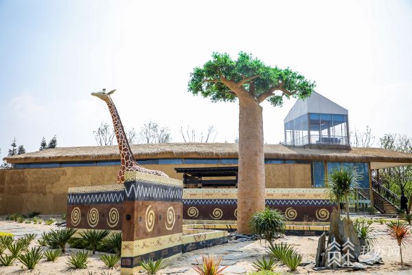 揚州世園會吉布提園 主題園事活動展現非洲文化