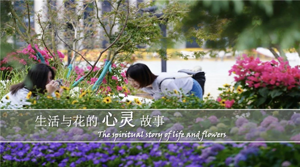 虞金龍：人 城市 花園的和鳴