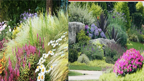 虞金龍：人 城市 花園的和鳴