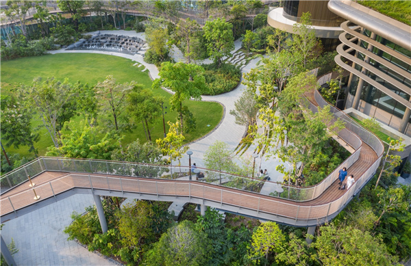 TK Studio丨泰國芳林城市森林館