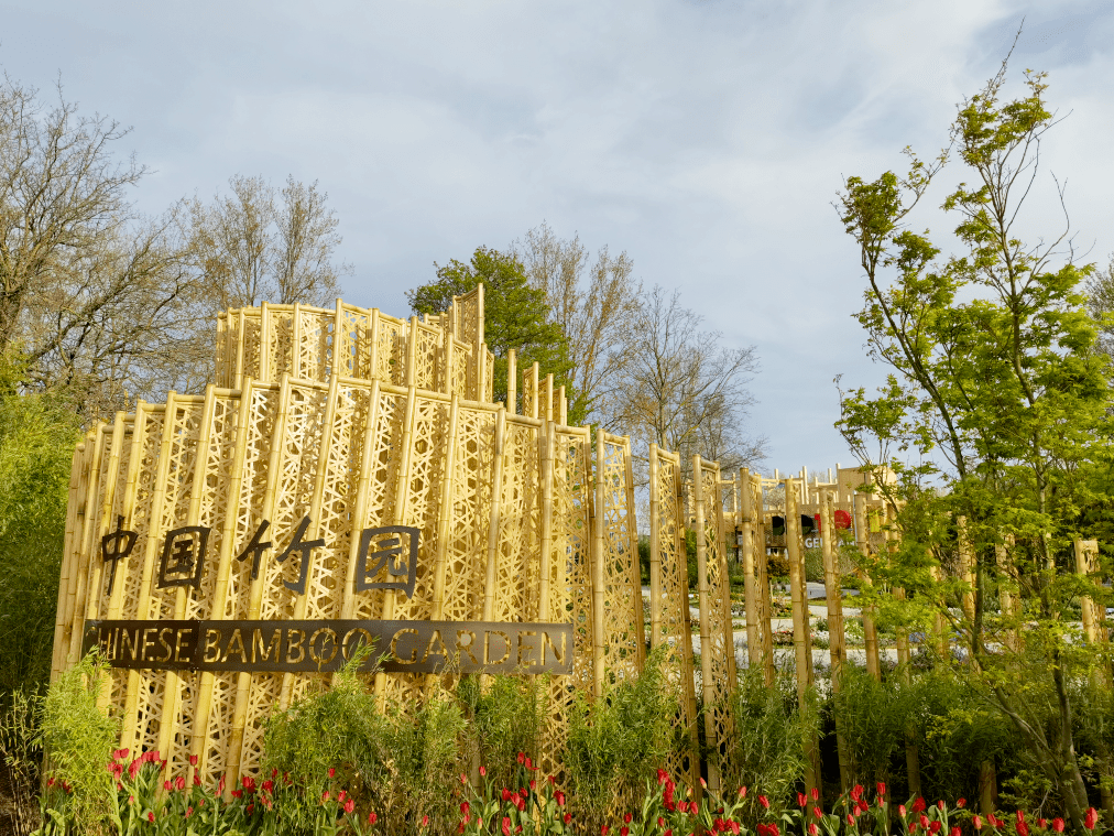 2022荷蘭世園會開幕 蘇州造“中國竹園”精彩亮相