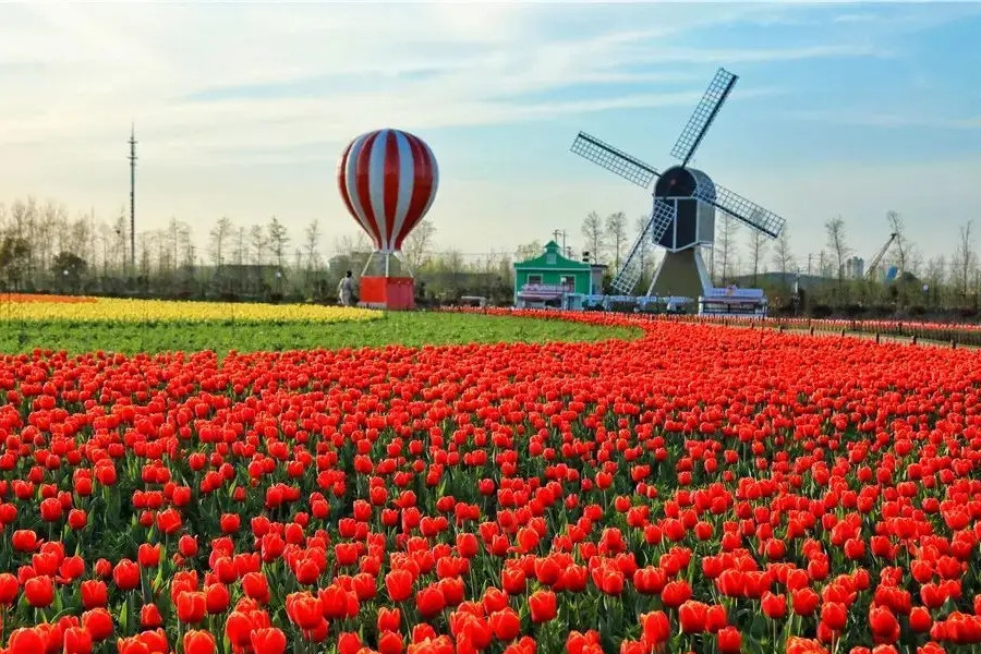 吳必虎：文旅發展要適應“后新冠”