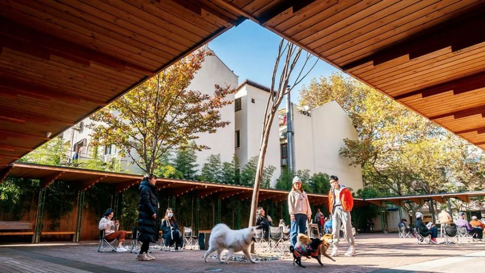 公園成了城市建設的新指標，它為什么重要？