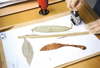 一南一北 國家植物園花開兩朵