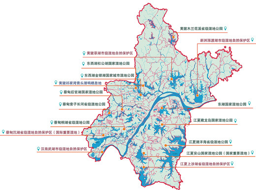 “江城”武漢講述濕地故事