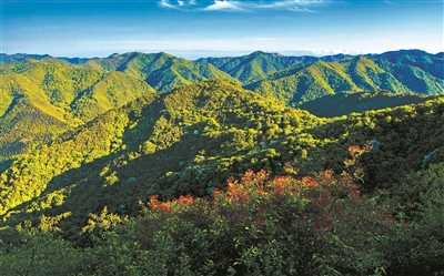 秦嶺：譜寫美麗中國建設新篇章