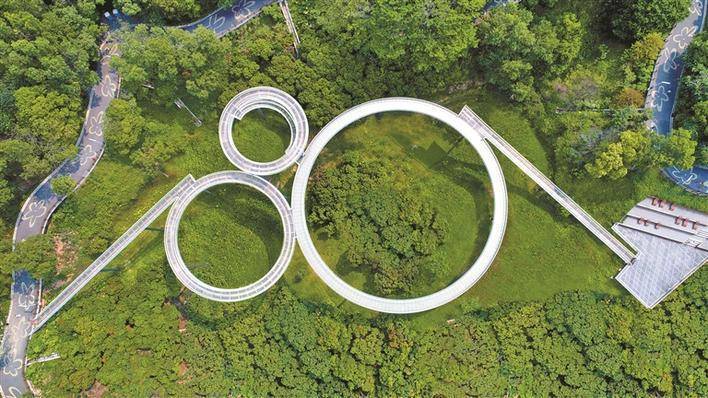 園林綠化彩繪公園里的深圳 擘畫綠色生態畫卷 