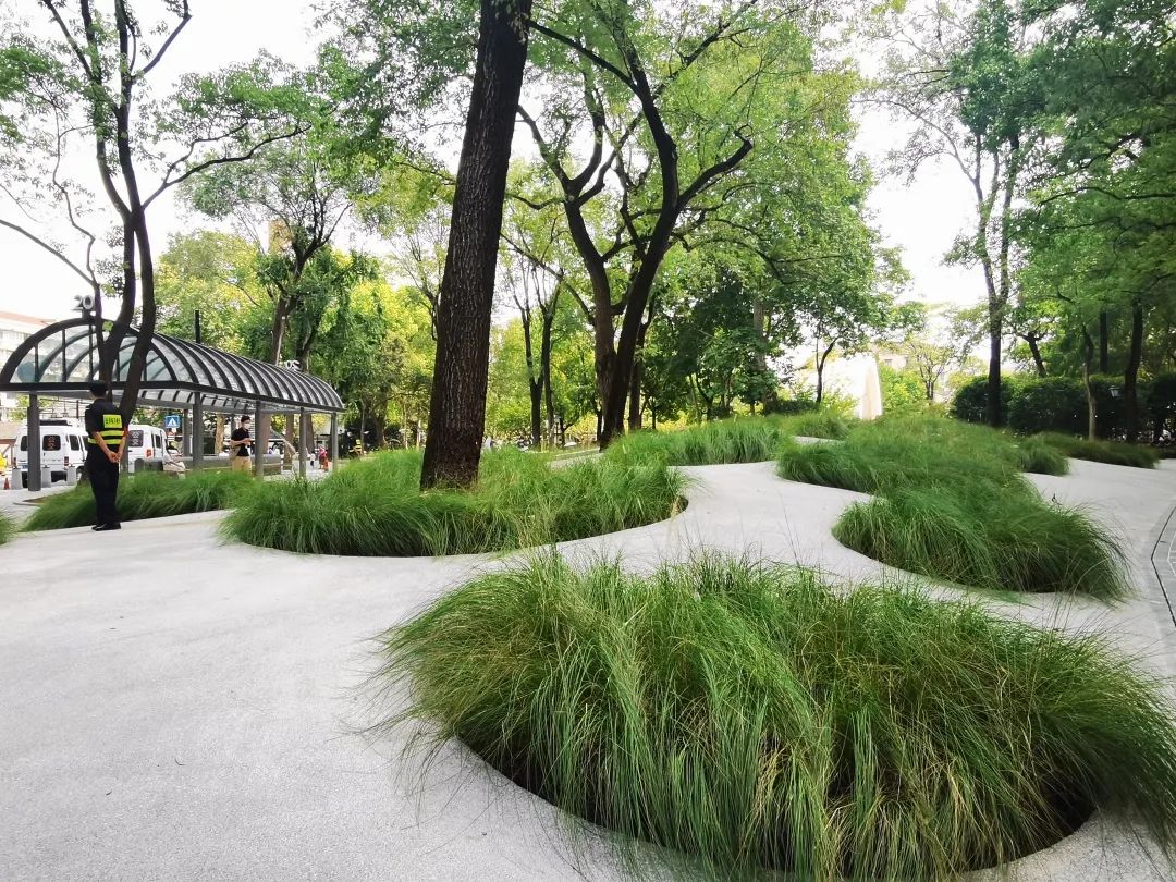 上海：百年中山公園拆墻 以全新姿態融入蘇州河公共空間