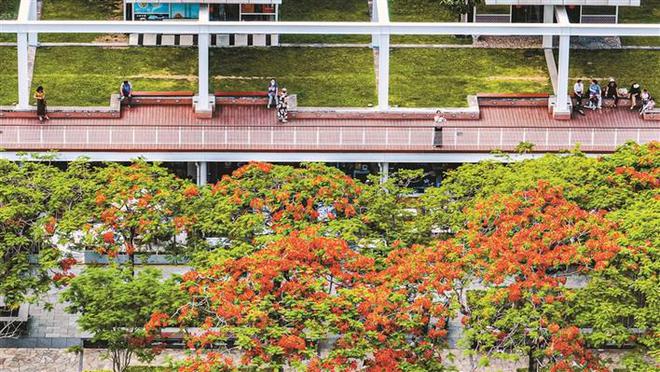 深圳：從城市里的公園到公園里的城市