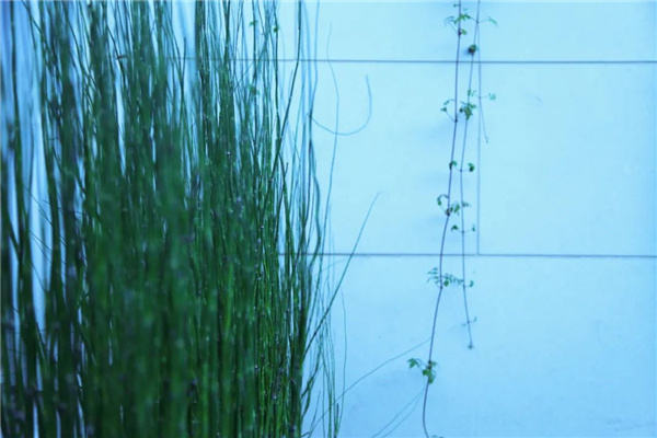 海躍潤(rùn)園丨北京魯能格拉斯別墅花園