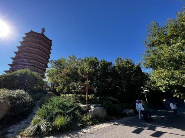 北京園博園永定塔下山花浪漫形成天然“綠色長廊”