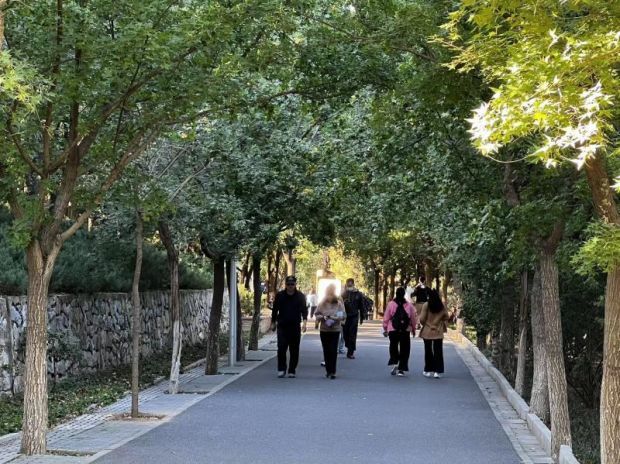 北京園博園永定塔下山花浪漫形成天然“綠色長廊”