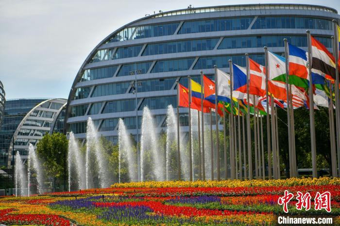 第五屆進博會場館景觀裝飾全面定妝