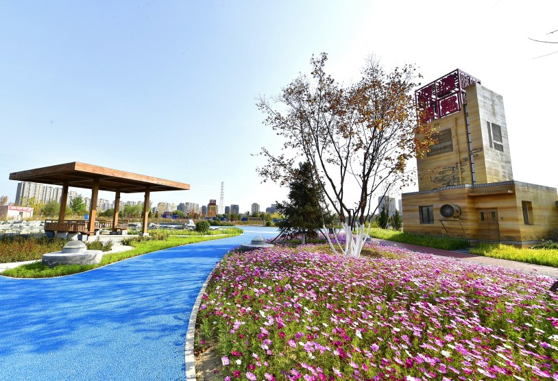 地下治污地上造綠 北京副中心最大再生水廠有了水系景觀公園