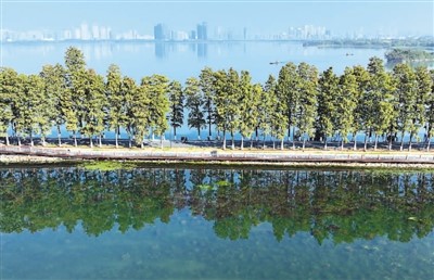 中國(guó)履行《濕地公約》30周年成果卓著