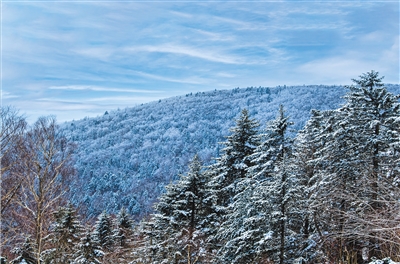東北虎豹國家公園：科技守護 和諧共生