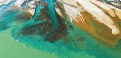 濕地旅游豐富多彩：親水觀鳥深呼吸 賞花徒步可露營