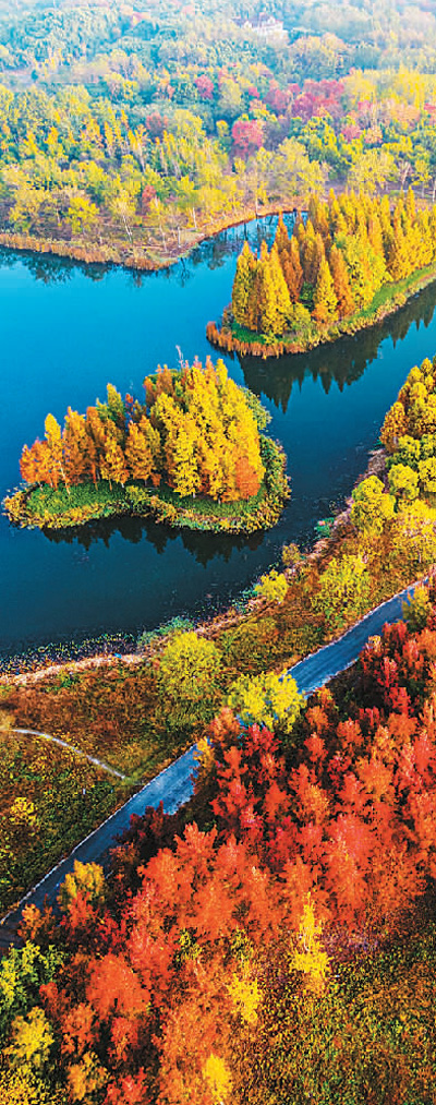 濕地旅游豐富多彩：親水觀鳥深呼吸 賞花徒步可露營