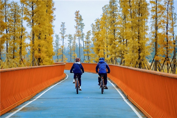 78座“靚”橋，成都公園城市的魅力表達
