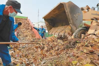 城市綠化垃圾是如何處理的