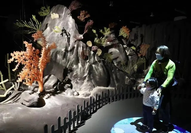 上海舉辦深海園林展 用中國園林意境講述深海奧秘