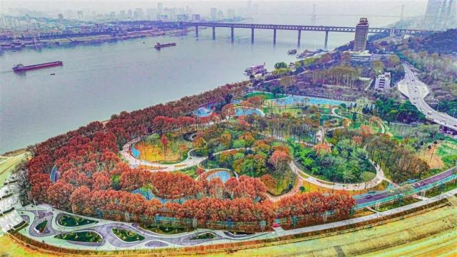 沖刺“千園之城”！武漢公園總量突破800座