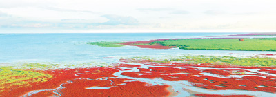 看中國的國際濕地城市如何留住濕地留住美