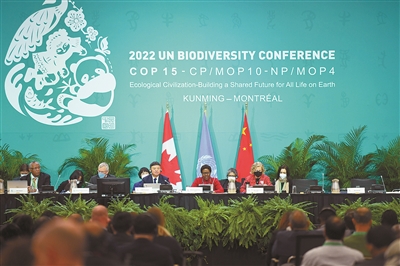 2022年世界林草十大關(guān)注熱點(diǎn)