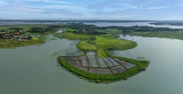 武漢將建設各類公園100座 串珠成鏈織鏈成網