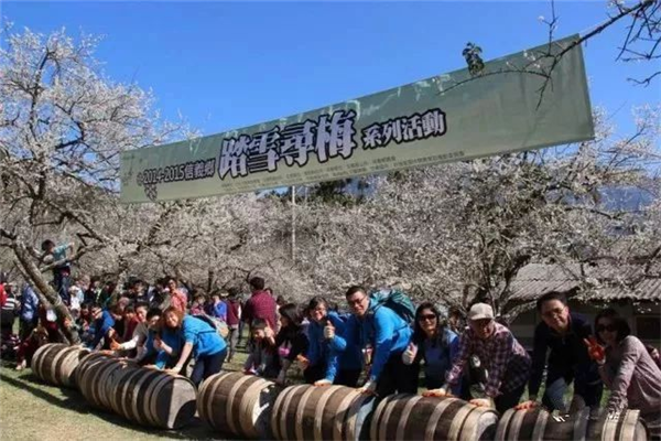 南投縣信義鄉：發揮地理優勢，打造梅子夢工廠