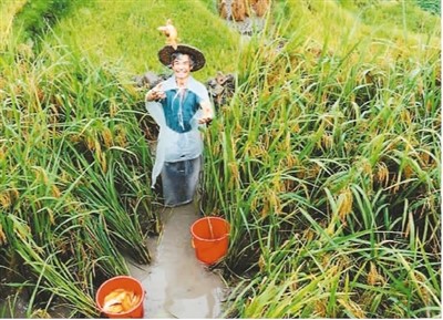 保護(hù)和推廣農(nóng)業(yè)遺產(chǎn)在哪些方面獲得成功？