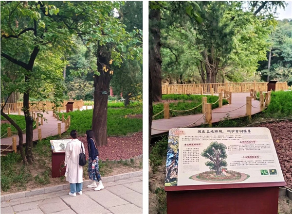 京都風景助力北京生態(tài)文明發(fā)展建設的十年