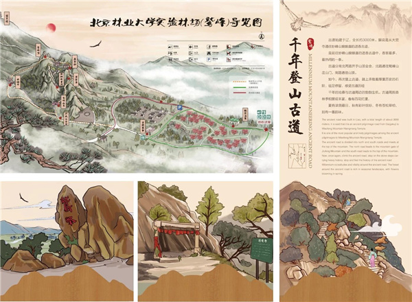 京都風景助力北京生態(tài)文明發(fā)展建設的十年