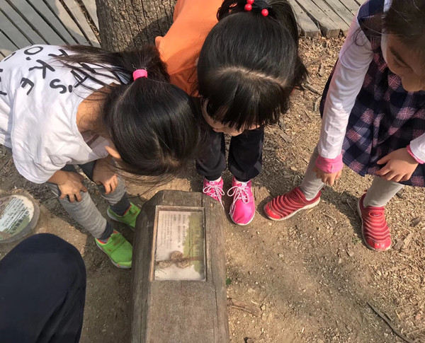 京都風景助力北京生態(tài)文明發(fā)展建設的十年