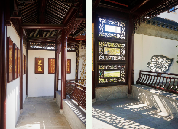 費(fèi)家浜：特色田園鄉(xiāng)村建設(shè)讓無垠星空映照廣闊鄉(xiāng)村