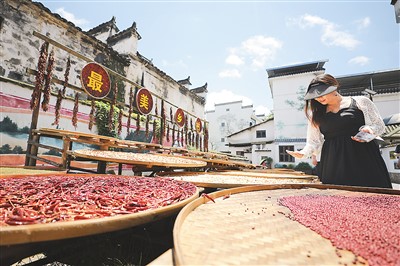 鄉(xiāng)村旅游提質(zhì)升級(jí) 成為國(guó)內(nèi)游一大亮點(diǎn)