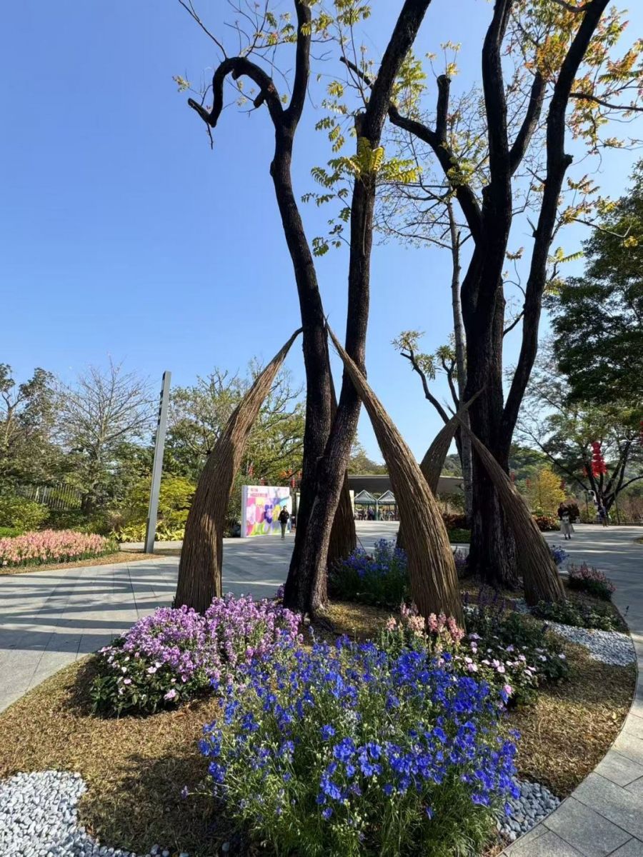 第32屆廣州園林博覽會(huì)盛大開(kāi)幕