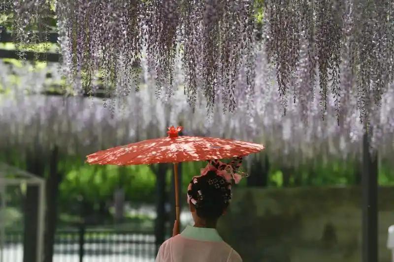 北京發(fā)布“公園治愈指南” 30處清幽空間等您來(lái)“發(fā)呆”