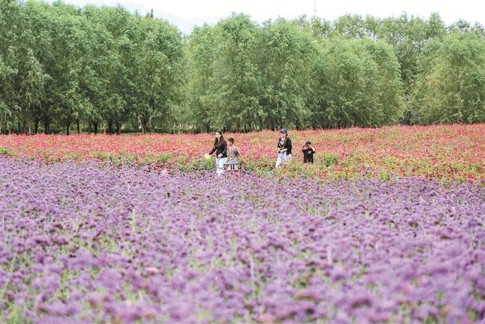新疆鐵門關(guān)：戈壁灘上崛起“公園城市”