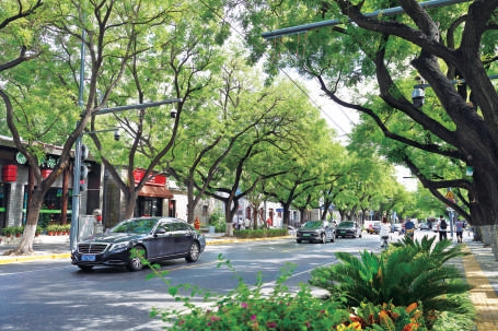 從形態塑造到全域治理 城市設計讓首都更加“靈動”