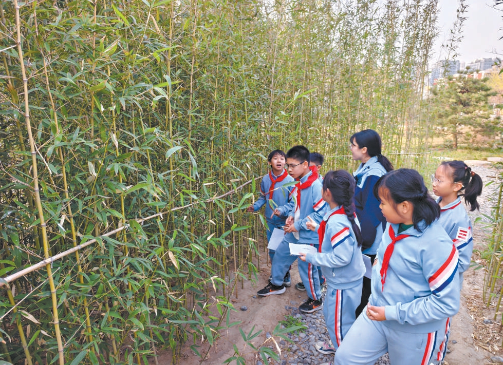 北京豐臺：20所中小學把課堂搬進公園