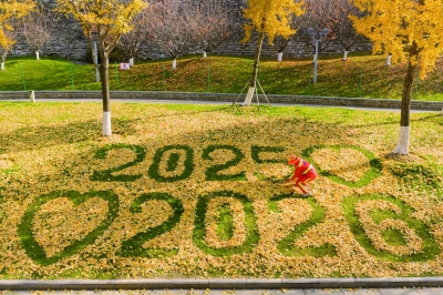 城市客廳“增值”，玄武湖亮出“南京解法”