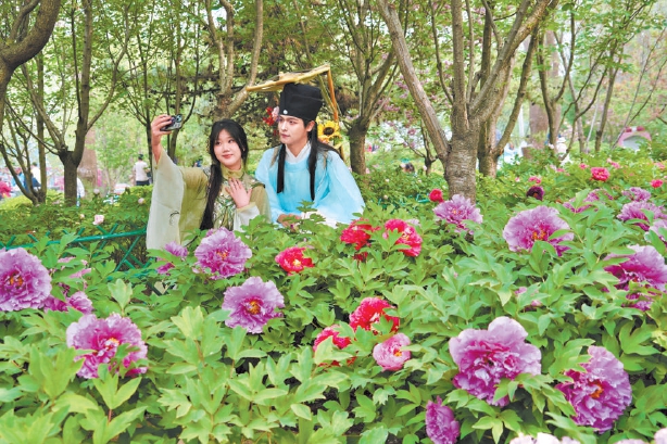 2026北京牡丹文化節啟幕 匯集品種超1300個