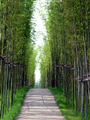 浙江 黃巖 公園