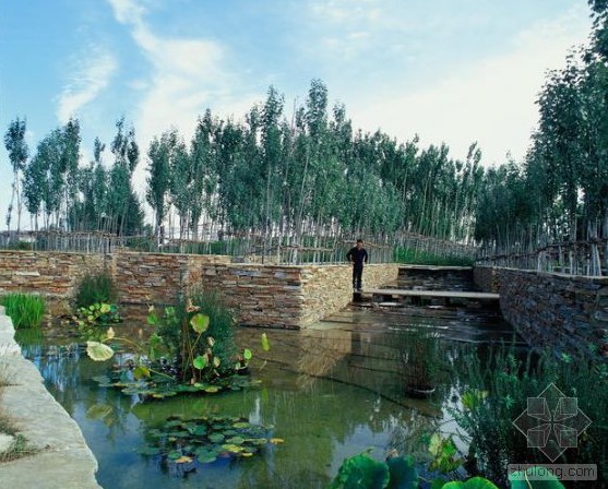 北京天恒別墅景觀設(shè)計 