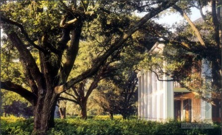 綠化 設(shè)計(jì) 景觀