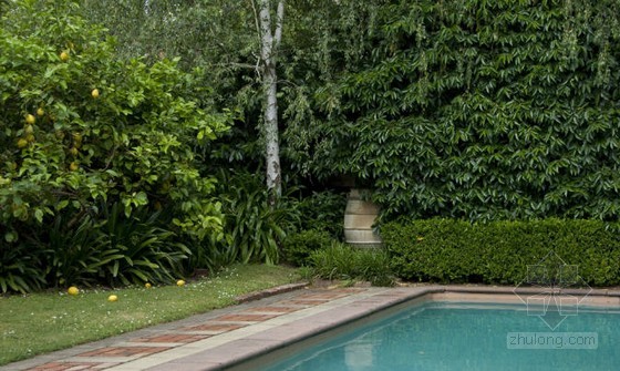 綠化 設(shè)計(jì) 景觀