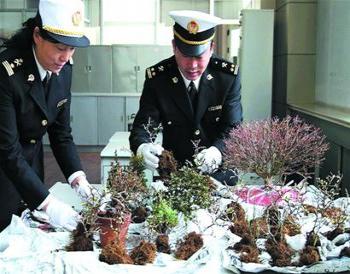 青島海關一季度已查獲18起走私動植物案