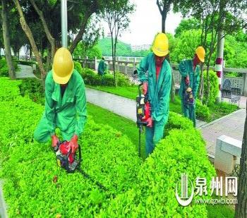 泉州：安溪縣城市綠化巧念“節約經”