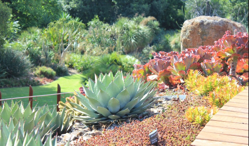 獲得全球最佳景觀獎的墨爾本植物園
